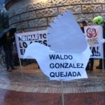 waldo paloma scaled e1582901443143 Inicio