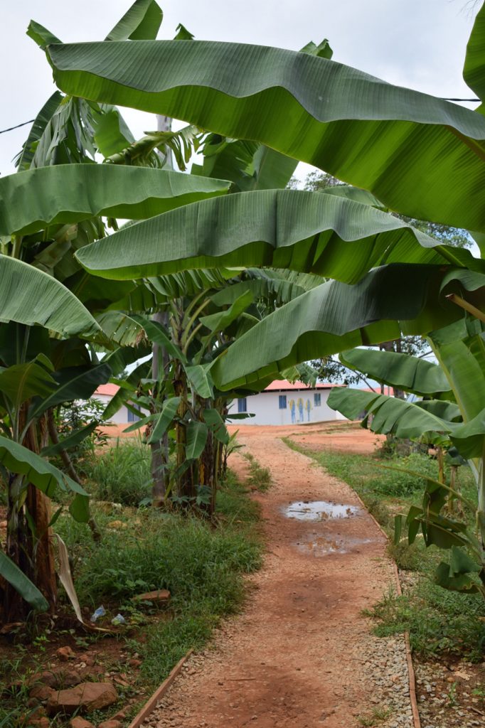 Tierra grata camino Experiencias de noviolencia en territorios de población reincorporada