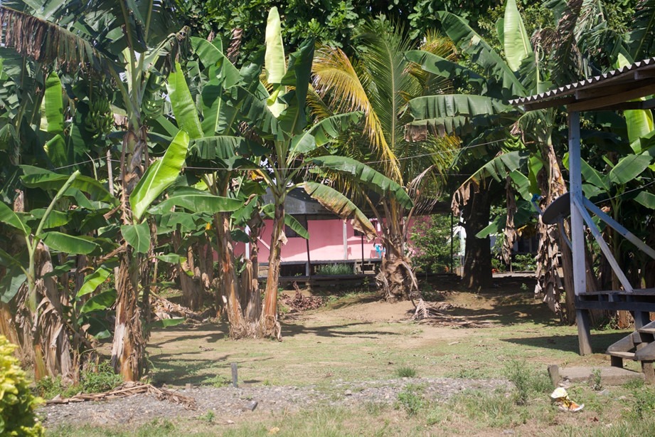 brisas recorrido casas Brisas necesita tierras para seguir avanzando en su apuesta de paz integral