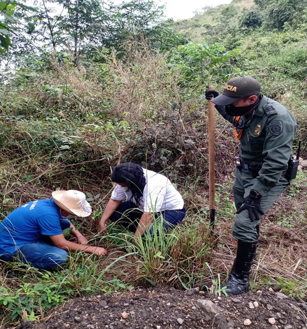 tierra grata siembra arboles 1 “Reconciliación ecológica”: restituir lo que la guerra destruyó