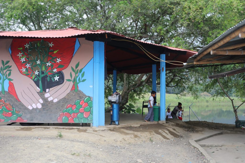 Cauca NAR comedor lago La NAR de la Elvira, en Miranda, sigue avanzado en sus proyectos productivos: Porcicultura, piscicultura y ganadería