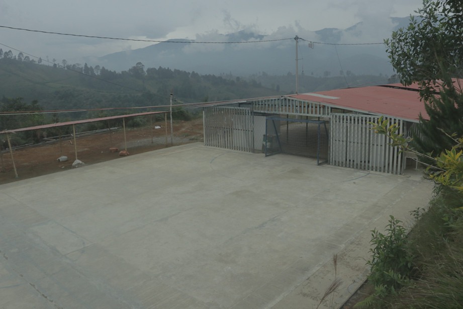 Los monos cancha Aguacate hass, porcicultura, piscicultura y ganadería son las apuestas productivas del AETCR de Los Monos, en el Cauca