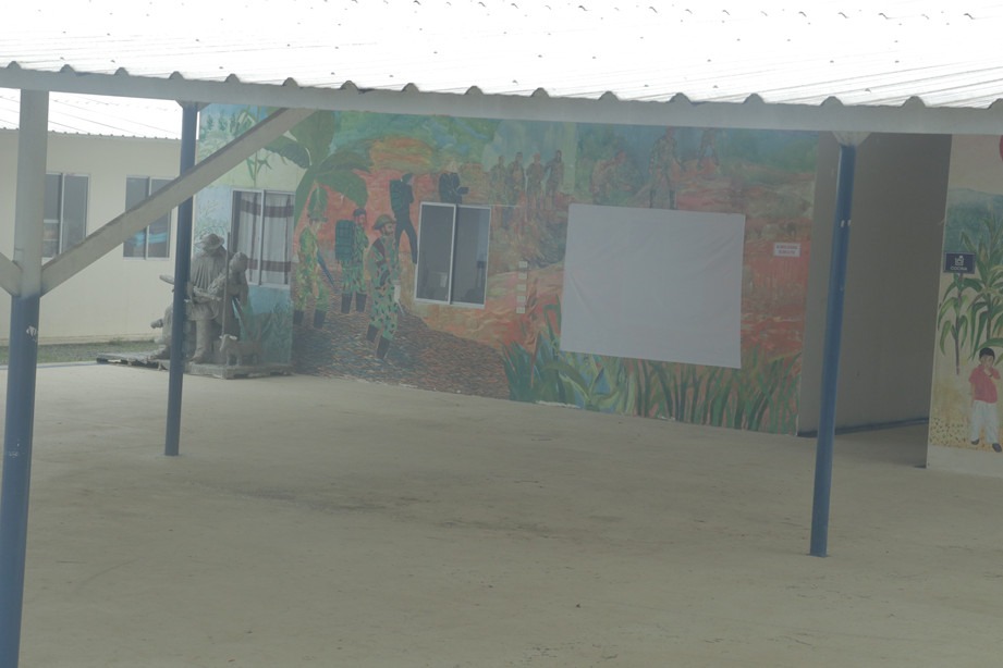 Los monos comedor Aguacate hass, porcicultura, piscicultura y ganadería son las apuestas productivas del AETCR de Los Monos, en el Cauca