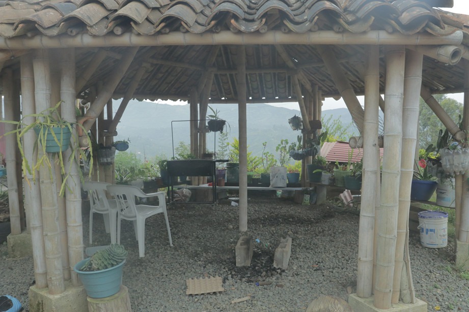 Los monos lugar encuentro Aguacate hass, porcicultura, piscicultura y ganadería son las apuestas productivas del AETCR de Los Monos, en el Cauca