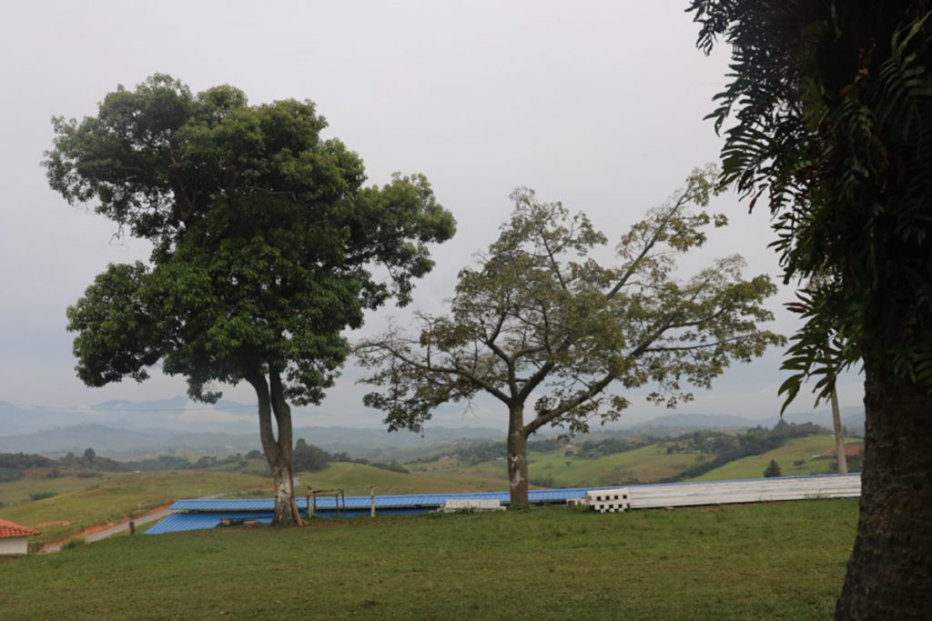 Finca donde opera el negocio rentable para la antigua ETCR de Los Monos