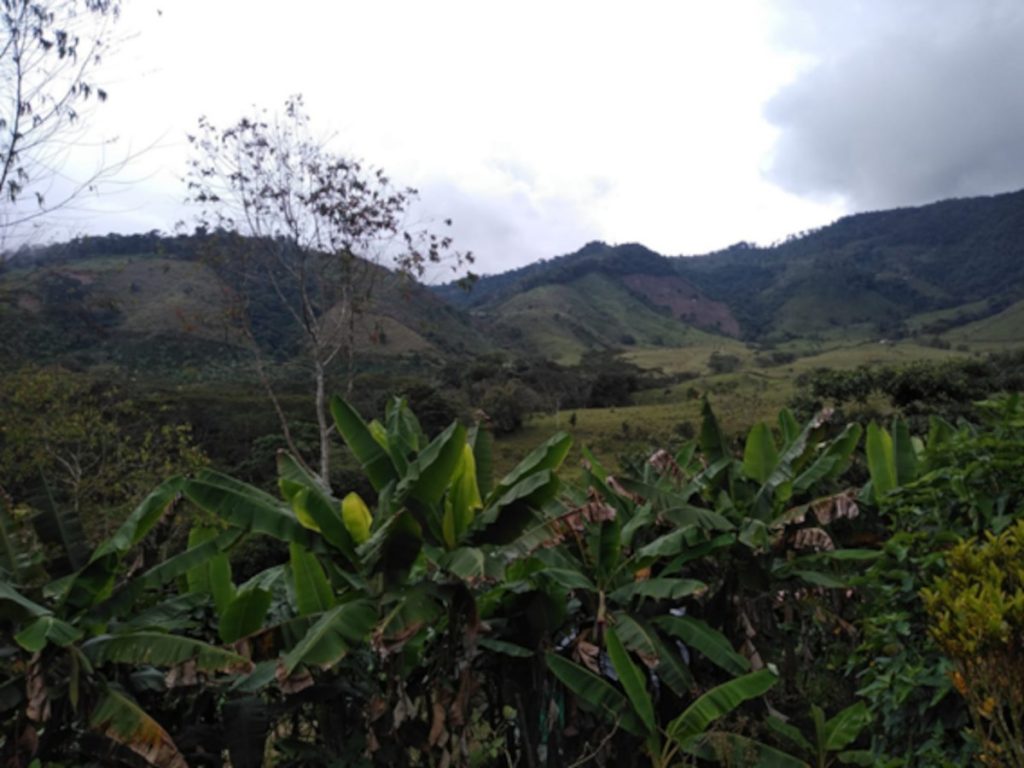 Antioquia visiita llanogrande paisaje 1 Llano Grande le apuesta al turismo