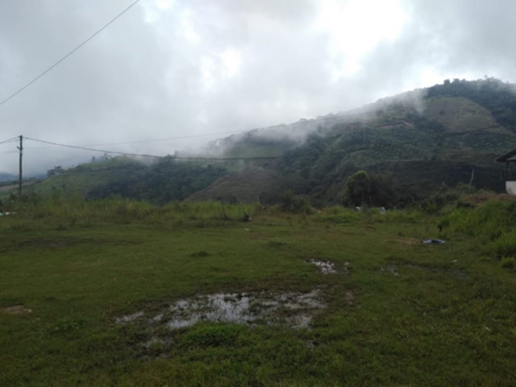 Antioquia visiita llanogrande paisaje1 1 Llano Grande le apuesta al turismo