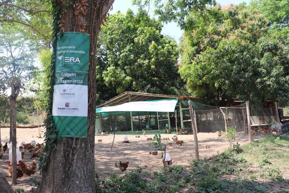 Pondores galpon 1 Pondores, un ejemplo de productividad de la mano de las comunidades aledañas