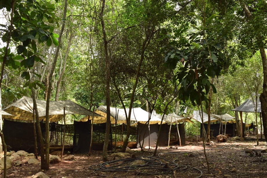 Tierra grata cambuches Tierra Grata, solo procesos productivos