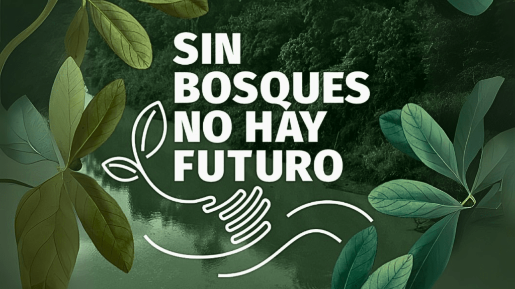 logo blanco DiPaz se suma a la campaña “Sin Bosques no hay Futuro”